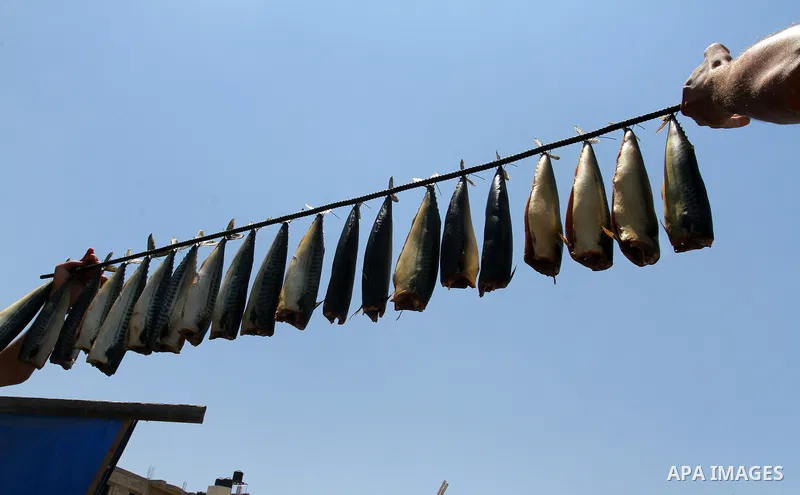 Palestinian men smoke mackerels that they will sell at a market ahead of the Eid al-Fitr holiday on July 2, 2016 in Khan Yunis, in the southern Gaza Strip. Eid al-Fitr marks the end of Muslim's holy fasting month of Rama...