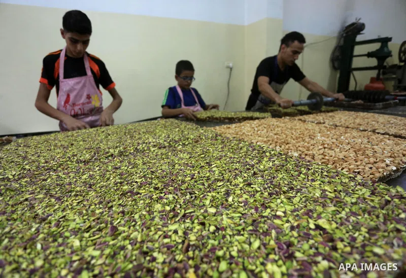 Palestinians prepare sweet known in Arabic as "Halkoum" ahead of the Eid al-Fitr holiday, in Gaza city, on July 3, 2016. Eid al-Fitr marks the end of Muslim's holy fasting month of Ramadan when faithfuls abstain from eat...