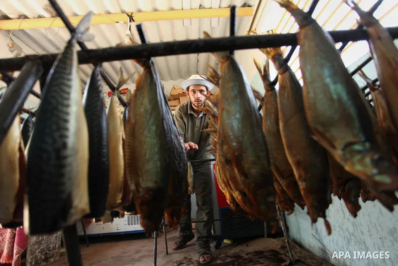 A Palestinian man prepares salted fish to be sold in a market ahead of the Eid al-Fitr holiday marking the end of Ramadan, in Khan Younis, in the southern Gaza Strip July 3, 2016. Photo by Ashraf Amra