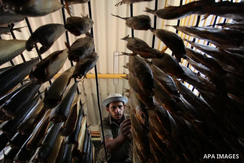 A Palestinian man prepares salted fish to be sold in a market ahead of the Eid al-Fitr holiday marking the end of Ramadan, in Khan Younis, in the southern Gaza Strip July 3, 2016. Photo by Ashraf Amra