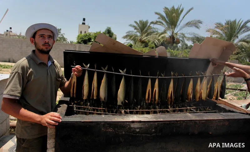 A Palestinian man prepares salted fish to be sold in a market ahead of the Eid al-Fitr holiday marking the end of Ramadan, in Khan Younis, in the southern Gaza Strip July 3, 2016. Photo by Ashraf Amra