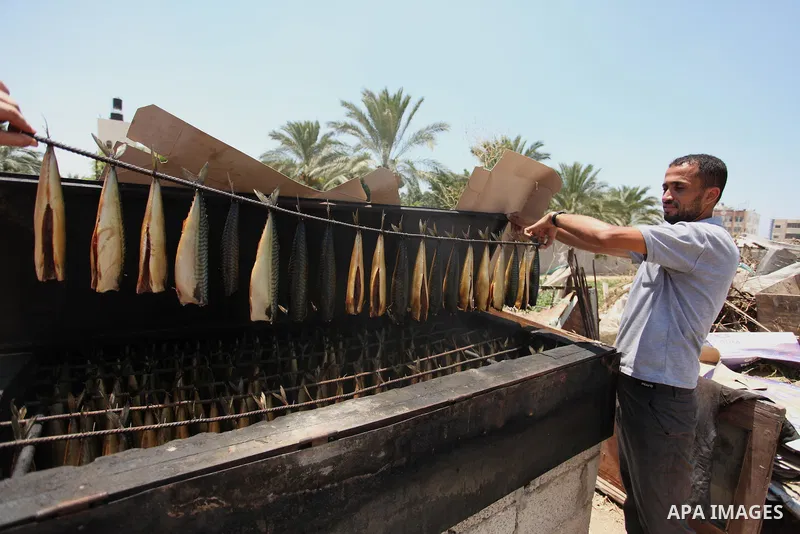 A Palestinian man prepares salted fish to be sold in a market ahead of the Eid al-Fitr holiday marking the end of Ramadan, in Khan Younis, in the southern Gaza Strip July 3, 2016. Photo by Ashraf Amra