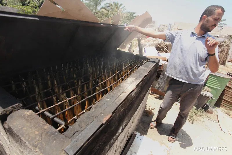 A Palestinian man prepares salted fish to be sold in a market ahead of the Eid al-Fitr holiday marking the end of Ramadan, in Khan Younis, in the southern Gaza Strip July 3, 2016. Photo by Ashraf Amra