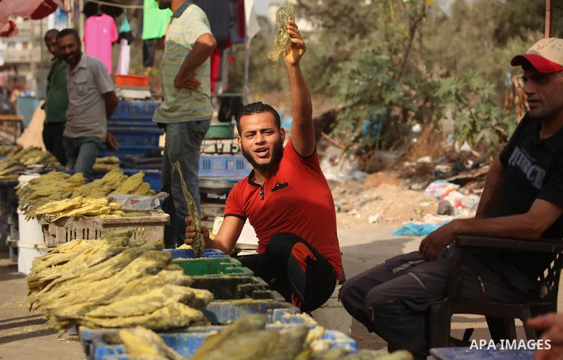 A Palestinian vendor displays salted fish at a market ahead of the Eid al-Fitr holiday, in Nuseirat refugee camp in the central Gaza Strip, on July 4, 2016. Eid al-Fitr marks the end of Muslim's holy fasting month of Ram...