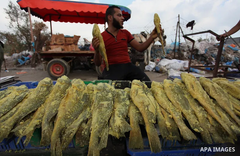 A Palestinian vendor displays salted fish at a market ahead of the Eid al-Fitr holiday, in Nuseirat refugee camp in the central Gaza Strip, on July 4, 2016. Eid al-Fitr marks the end of Muslim's holy fasting month of Ram...