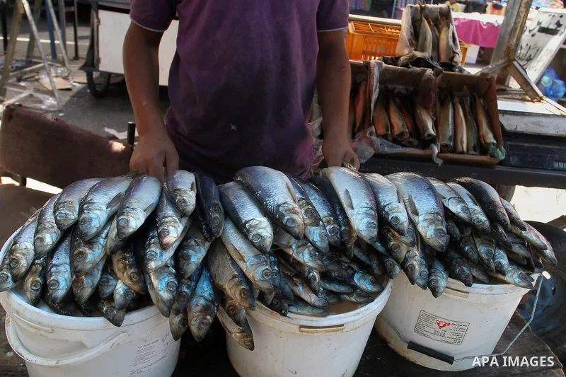 Palestinians shop at market ahead of the Eid al-Fitr holiday in Rafah in the southern Gaza strip, on July 05, 2016, as Muslims the world over prepare to celebrate Eid al-Fitr, starting with the with the sighting of the n...