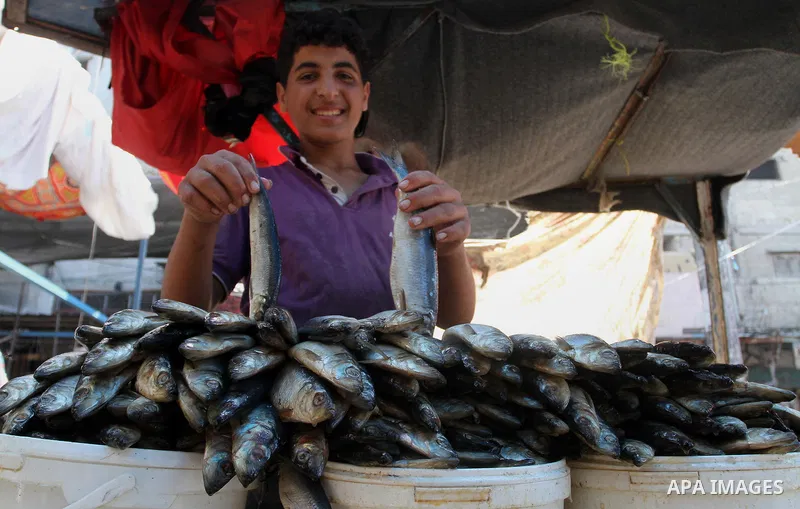 Palestinians shop at market ahead of the Eid al-Fitr holiday in Rafah in the southern Gaza strip, on July 05, 2016, as Muslims the world over prepare to celebrate Eid al-Fitr, starting with the with the sighting of the n...