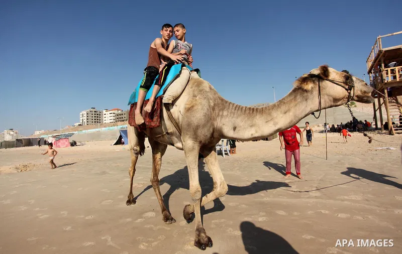 Palestinian children ride a camel at the beach of the Mediterranean sea on the coast of Gaza city, on the third day of Eid al-Fitr holiday which marks the end of the Muslim holy month of Ramadan, on July 08, 2016. Photo...