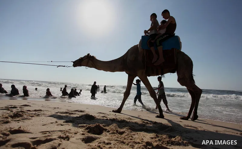 Palestinian children ride a camel at the beach of the Mediterranean sea on the coast of Gaza city, on the third day of Eid al-Fitr holiday which marks the end of the Muslim holy month of Ramadan, on July 08, 2016. Photo...