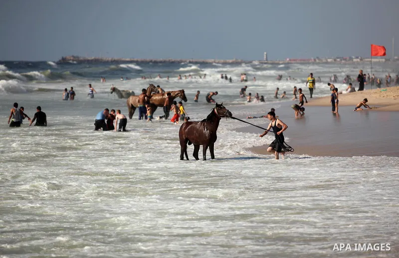 A Palestinian youth rides a horse at the beach of the Mediterranean sea on the coast of Gaza city, on the third day of Eid al-Fitr holiday which marks the end of the Muslim holy month of Ramadan, on July 08, 2016. Photo...