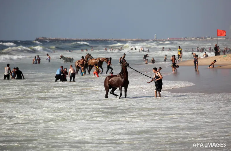 A Palestinian youth rides a horse at the beach of the Mediterranean sea on the coast of Gaza city, on the third day of Eid al-Fitr holiday which marks the end of the Muslim holy month of Ramadan, on July 08, 2016. Photo...