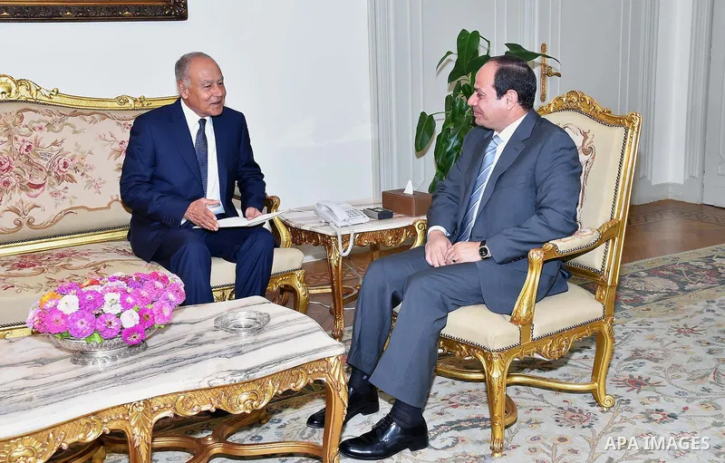 Egyptian President Abdel Fattah al-Sisi meets with Arab League Secretary-General Ahmed Aboul Gheit, in Cairo, Egypt, on July 13, 2016. Photo by Egyptian President Office