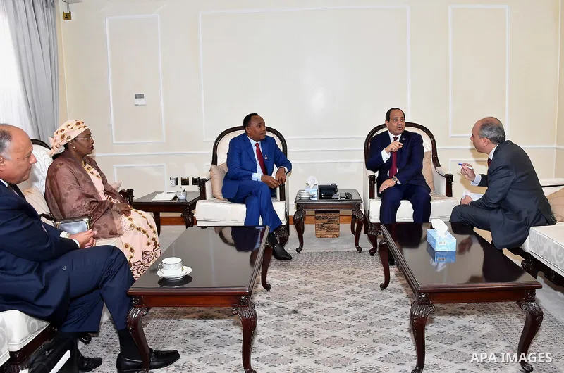 Egyptian President Abdel Fattah al-Sisi meets with President of Niger Mahamadou Issoufou, in Kigali, Rwanda, on July 18, 2016. Photo by Egyptian President Office