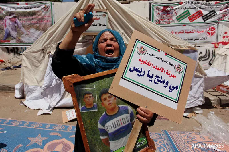 Palestinian families of martyrs take part a protest to demand their rights and salaries, in Gaza city, on July 19, 2016. Photo by Ashraf Amra