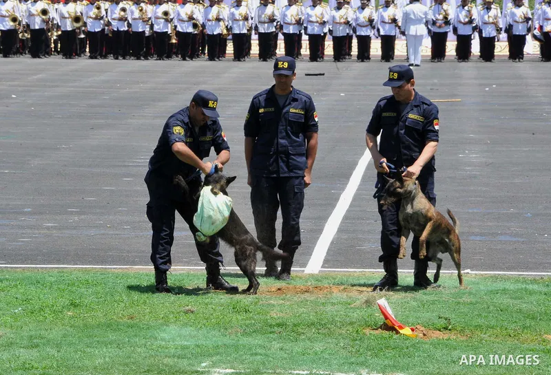 Egyptian police officers demonstrate their skills during at the police academy in Cairo, Egypt July 19, 2016. Photo by Egyptian President Office