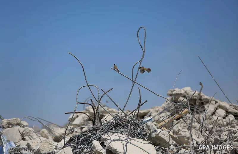 Palestinians inspect the rubble of a Palestinian house after it was demolished by Israeli troops in the West Bank village of Qalandia near Ramallah July 26, 2016. Photo by Shadi Hatem