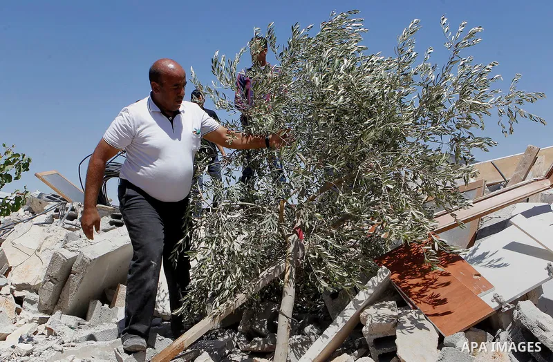 Palestinians check their belongings after Israeli troops demolished their house in the West Bank village of Saeer, near Hebron August 16, 2016. Photo by Wisam Hashlamoun