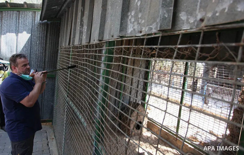 Members of the international animal welfare charity "Four Paws" check monkeys at a zoo in Khan Yunis in the southern Gaza Strip on August 23, 2016. A team of foreign veterinarians are evacuating the last surviving animal...