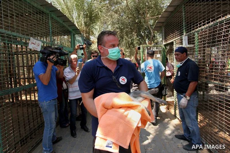 Members of the international animal welfare charity "Four Paws" check monkeys at a zoo in Khan Yunis in the southern Gaza Strip on August 23, 2016. A team of foreign veterinarians are evacuating the last surviving animal...
