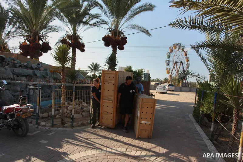 Members of the international animal welfare charity "Four Paws" carry a cage containing a monkey at a zoo in Khan Yunis, in the southern Gaza Strip, prior to evacuating all the animals at the zoo out of the Palestinian e...