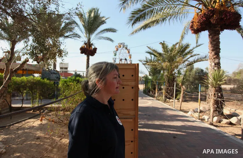 Members of the international animal welfare charity "Four Paws" carry a cage containing a monkey at a zoo in Khan Yunis, in the southern Gaza Strip, prior to evacuating all the animals at the zoo out of the Palestinian e...