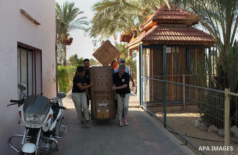 Members of the international animal welfare charity "Four Paws" carry a cage containing a monkey at a zoo in Khan Yunis, in the southern Gaza Strip, prior to evacuating all the animals at the zoo out of the Palestinian e...