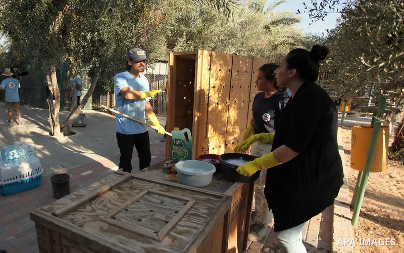 Members of the international animal welfare charity "Four Paws" clean cages at a zoo in Khan Yunis, in the southern Gaza Strip, prior to evacuating all the animals at the zoo out of the Palestinian enclave on Aug. 23, 20...