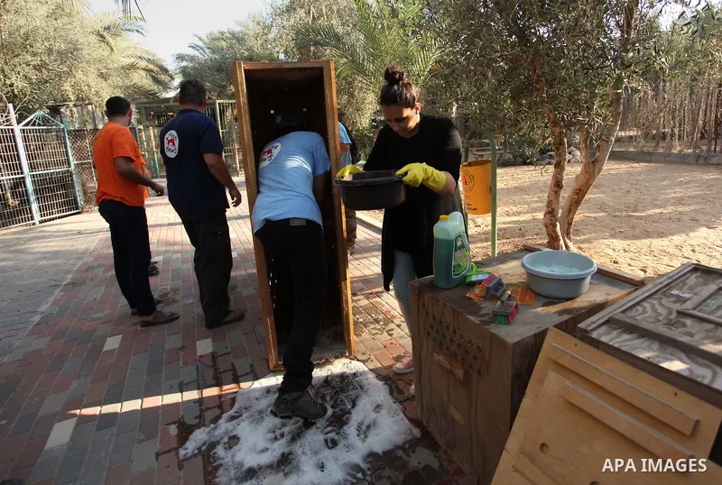 Members of the international animal welfare charity "Four Paws" clean cages at a zoo in Khan Yunis, in the southern Gaza Strip, prior to evacuating all the animals at the zoo out of the Palestinian enclave on Aug. 23, 20...