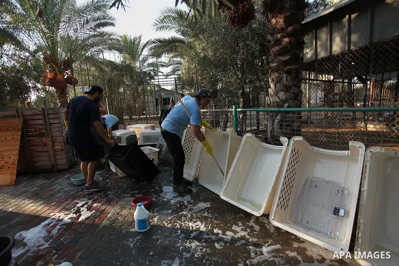 Members of the international animal welfare charity "Four Paws" clean cages at a zoo in Khan Yunis, in the southern Gaza Strip, prior to evacuating all the animals at the zoo out of the Palestinian enclave on Aug. 23, 20...