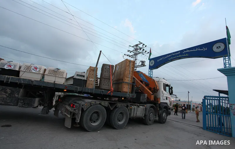 Members of the international animal welfare charity "Four Paws" transport animals across the Erez border crossing into Israel after evacuating them from the zoo in Khan Yunis in the southern Gaza Strip on August 24, 2016...