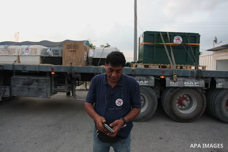 Members of the international animal welfare charity "Four Paws" transport animals across the Erez border crossing into Israel after evacuating them from the zoo in Khan Yunis in the southern Gaza Strip on August 24, 2016...