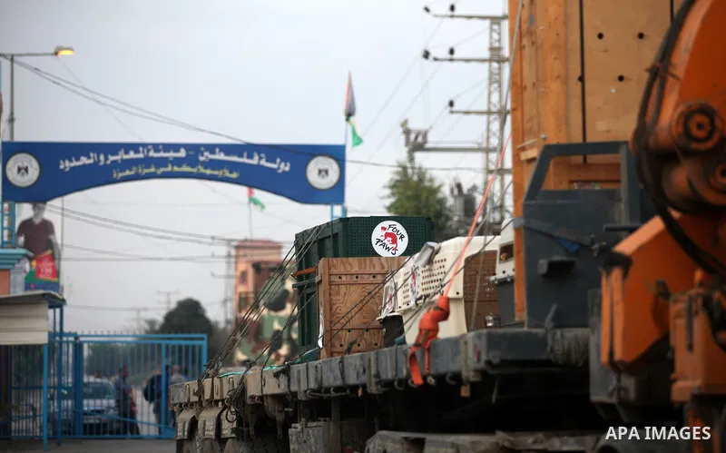 Members of the international animal welfare charity "Four Paws" transport animals across the Erez border crossing into Israel after evacuating them from the zoo in Khan Yunis in the southern Gaza Strip on August 24, 2016...