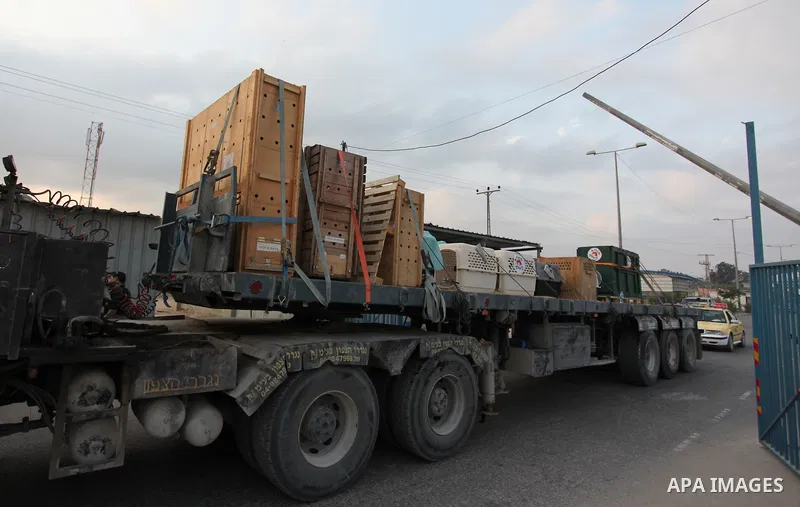 Members of the international animal welfare charity "Four Paws" transport animals across the Erez border crossing into Israel after evacuating them from the zoo in Khan Yunis in the southern Gaza Strip on August 24, 2016...