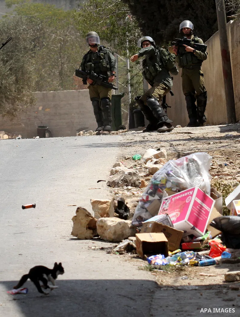 An Israeli soldier throws a tear gas canister towards Palestinian protesters during following a weekly demonstration against the expropriation of Palestinian land by Israel on August 26, 2016, in the village of Kfar Qadd...