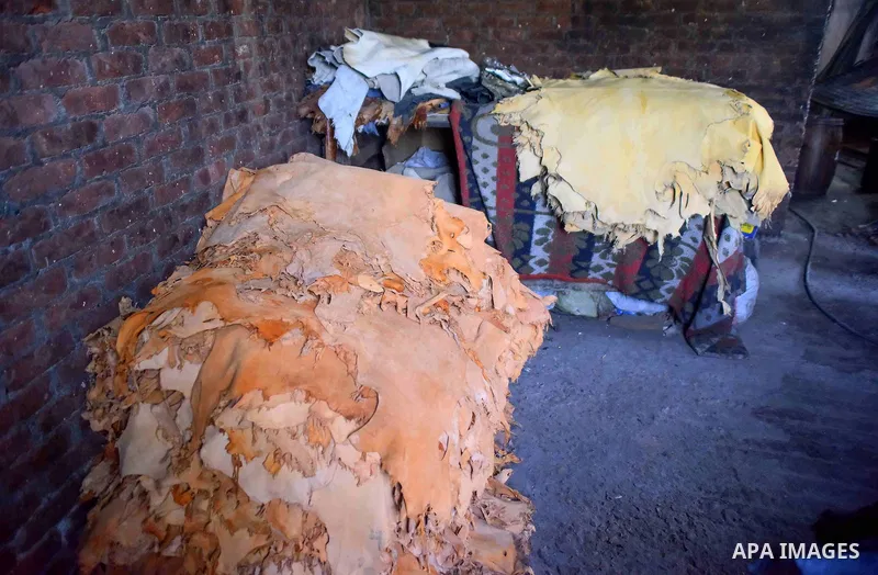 Hides of animals is sorted before drying them, at a leather tannery, in Cairo, Egypt, on August 28, 2016. Photo by Amr Sayed