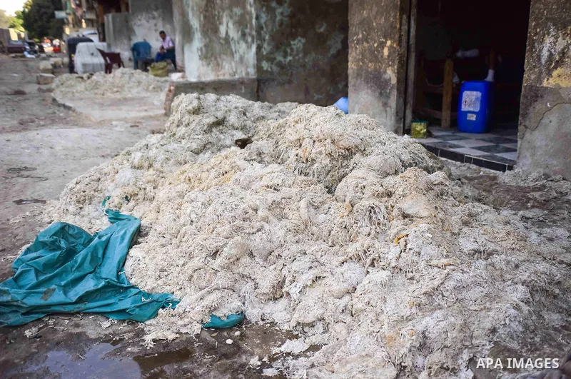 Egyptian leather tannery workers, salt the hides of animals before drying them, at a leather tannery, in Cairo, Egypt, on August 28, 2016. Photo by Amr Sayed