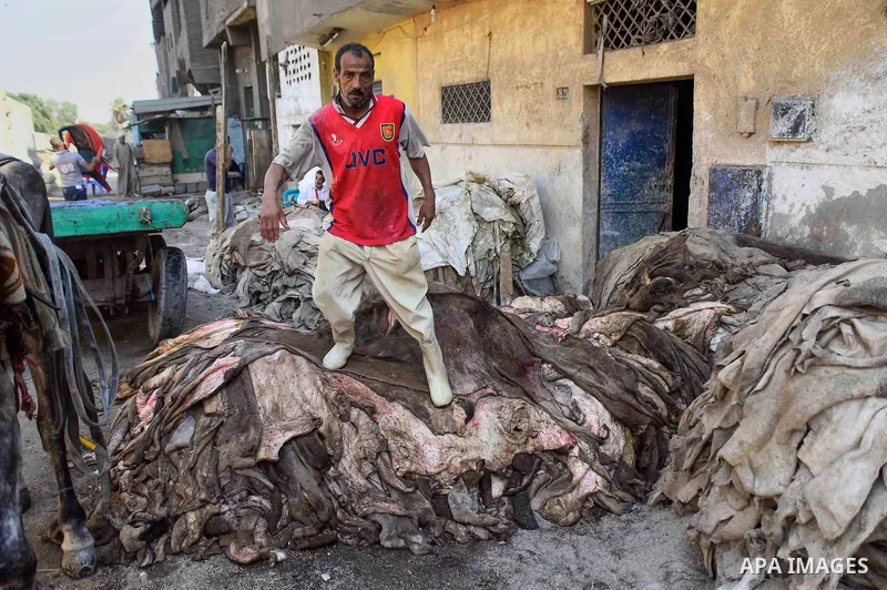 Egyptian leather tannery workers, salt the hides of animals before drying them, at a leather tannery, in Cairo, Egypt, on August 28, 2016. Photo by Amr Sayed