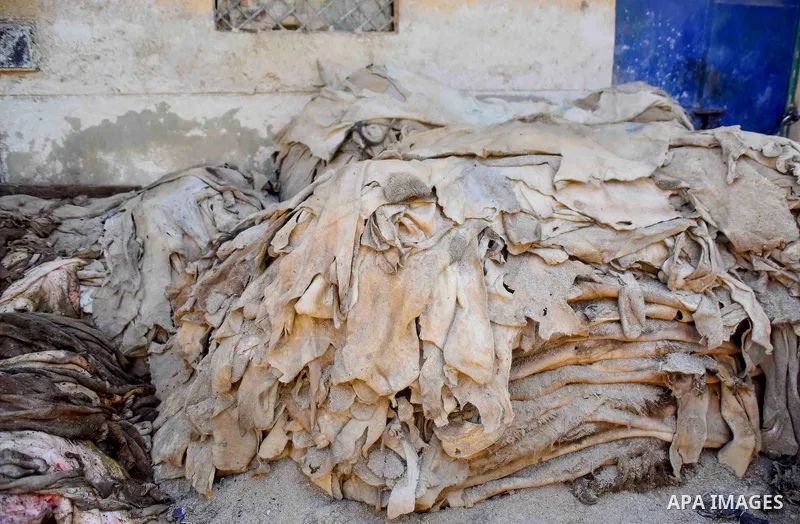 Hides of animals is sorted before drying them, at a leather tannery, in Cairo, Egypt, on August 28, 2016. Photo by Amr Sayed