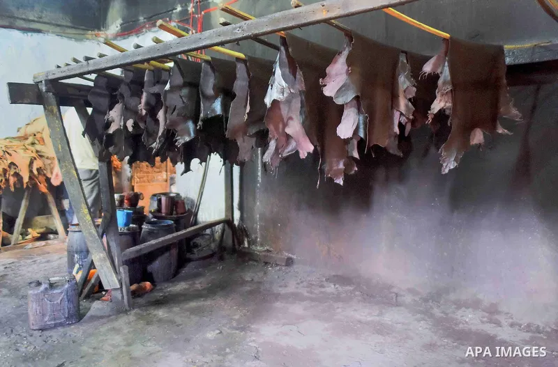 Hides of animals is sorted before drying them, at a leather tannery, in Cairo, Egypt, on August 28, 2016. Photo by Amr Sayed