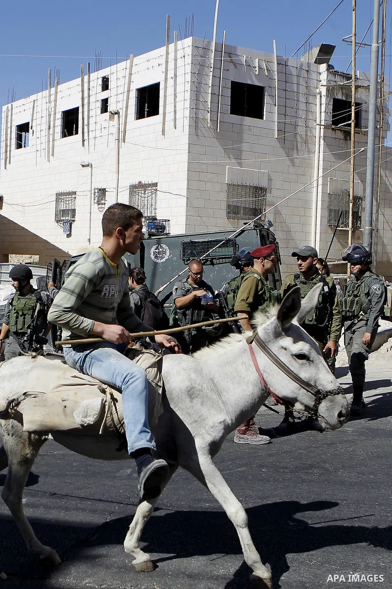 Israeli security forces stand guard after a Palestinian prevent the building of his house, near Kiryat Arba on the outskirts of the West Bank city of Hebron, on Sept. 02, 2016. Photo by Wisam Hashlamoun