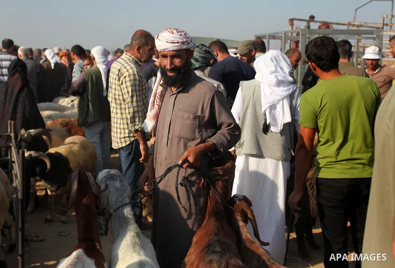 Palestinians gather at a live stock market, ahead of Eid al-Adha in Deir al-Balah, in the center of the Gaza Strip on September 06, 2016. Eid al-Adha (the Festival of Sacrifice) is celebrated throughout the Muslim world...