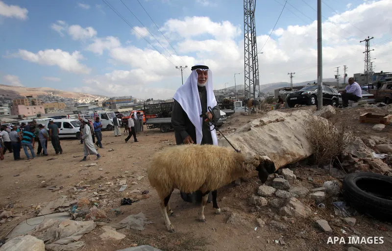 Palestinian customers negotiate with owners to buy sheep at a livestock market, ahead of the Eid al-Adha festival, in the West Bank city of Nablus September 8, 2016. Photo by Nedal Eshtayah