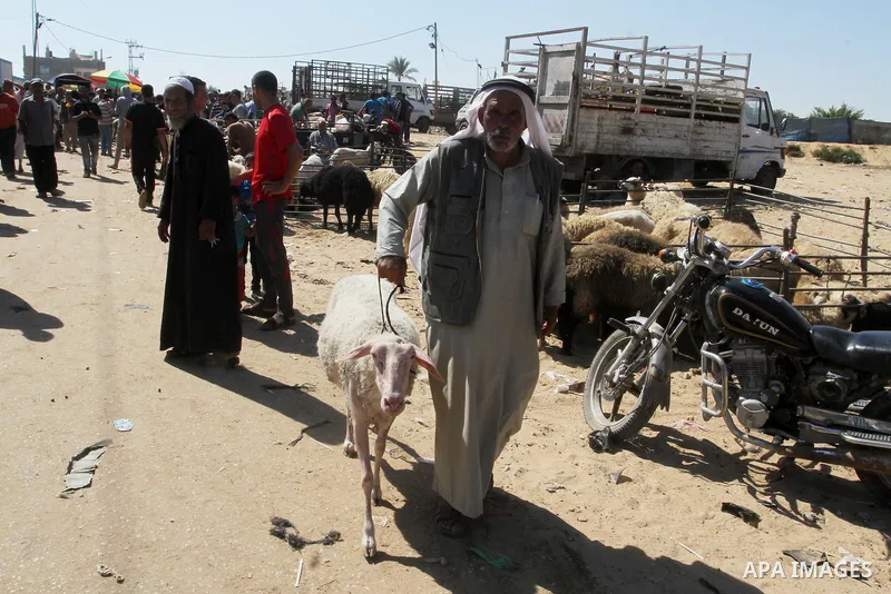 Palestinian customers negotiate with owners to buy sheep at a livestock market, ahead of the Eid al-Adha festival, in Rafah in the southern gaza strip September 10, 2016. Photo by Abed Rahim Khatib
