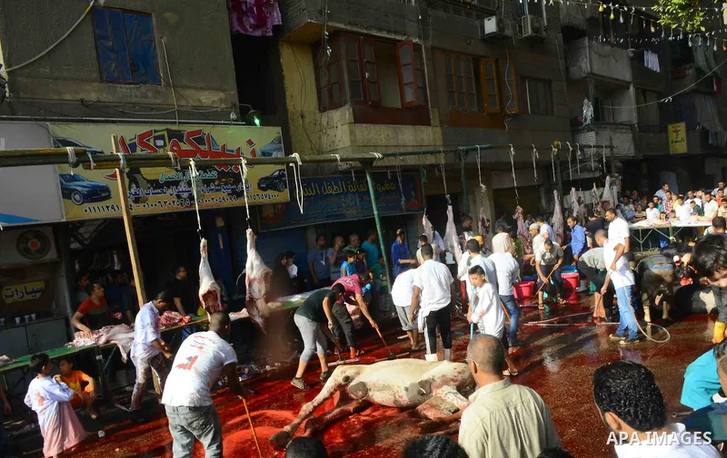 Egyptian Muslims sacrifice animals on the first day of of Eid al-Adha or the feast of sacrifice, in Cairo, Egypt, on September 12, 2016. Muslims across the world are celebrating the annual festival of Eid al-Adha, or the...