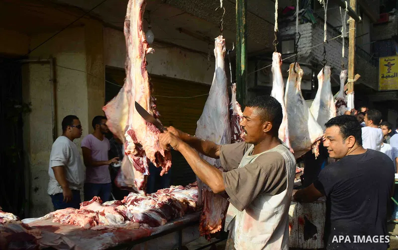 Egyptian Muslims sacrifice animals on the first day of of Eid al-Adha or the feast of sacrifice, in Cairo, Egypt, on September 12, 2016. Muslims across the world are celebrating the annual festival of Eid al-Adha, or the...