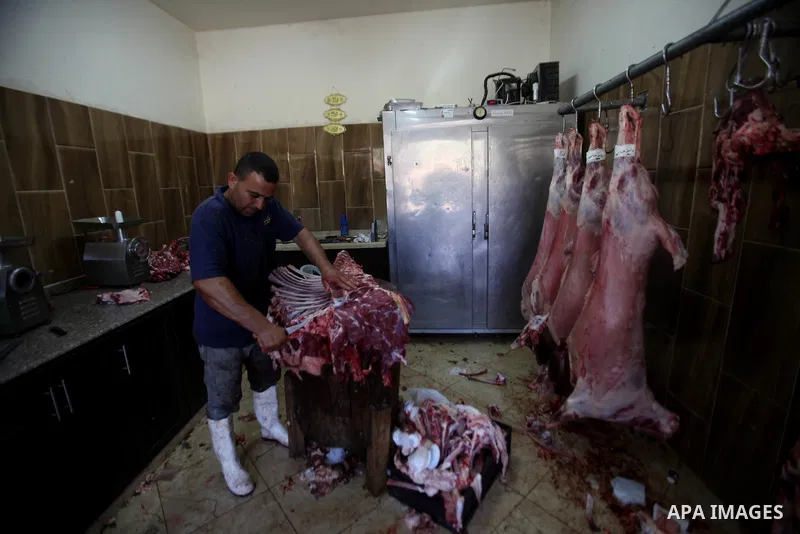 Palestinian Muslims sacrifice animals on the second day of of Eid al-Adha or the feast of sacrifice, in the West Bank city of Nablus on September 13, 2016. Muslims across the world are celebrating the annual festival of...