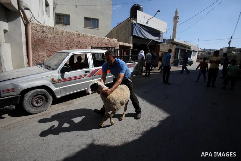 Palestinian Muslims sacrifice animals on the second day of of Eid al-Adha or the feast of sacrifice, in the West Bank city of Nablus on September 13, 2016. Muslims across the world are celebrating the annual festival of...