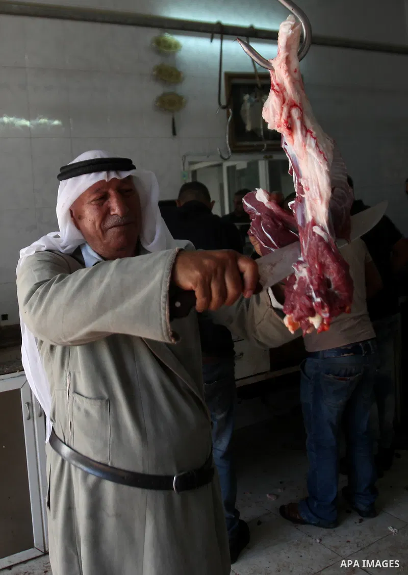 Palestinian Muslims sacrifice animals on the second day of of Eid al-Adha or the feast of sacrifice, in the West Bank city of Nablus on September 13, 2016. Muslims across the world are celebrating the annual festival of...