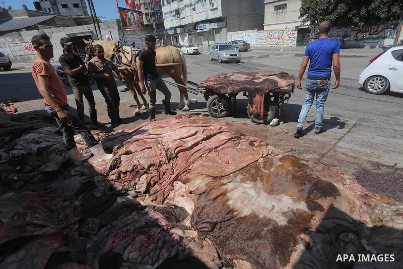 A Palestinian leather tannery worker, salts the hides of sacrificial animals before drying them, during second day of Eid al-Adha or the feast of sacrifice, in a workshop in Gaza city on September 13, 2016. Muslims acros...