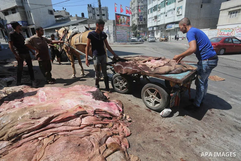 A Palestinian leather tannery worker, salts the hides of sacrificial animals before drying them, during second day of Eid al-Adha or the feast of sacrifice, in a workshop in Gaza city on September 13, 2016. Muslims acros...